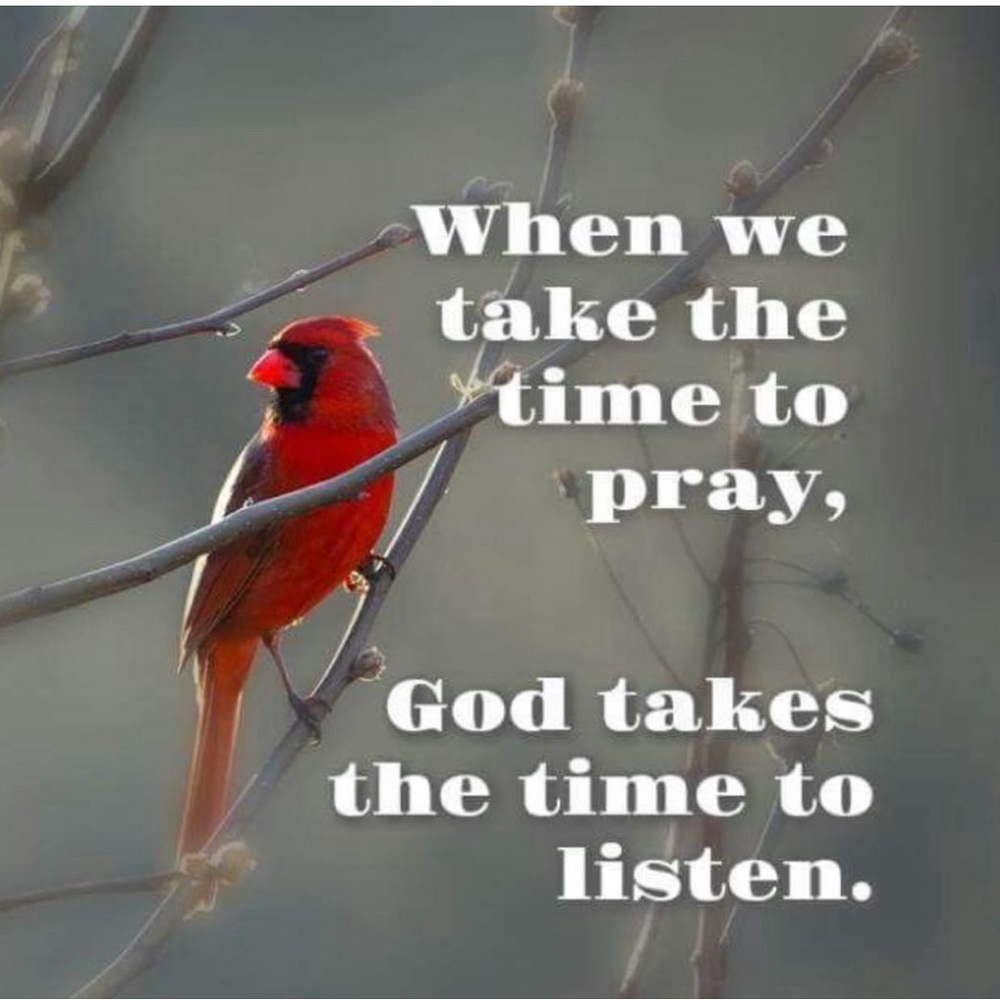 Meet your Posher, Laurie